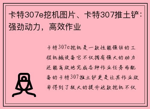 卡特307e挖机图片、卡特307推土铲：强劲动力，高效作业
