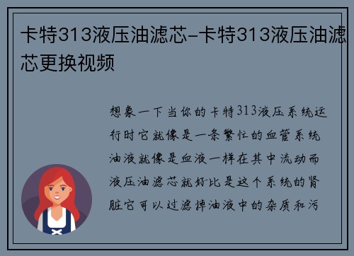 卡特313液压油滤芯-卡特313液压油滤芯更换视频