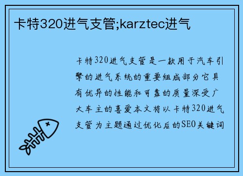 卡特320进气支管;karztec进气